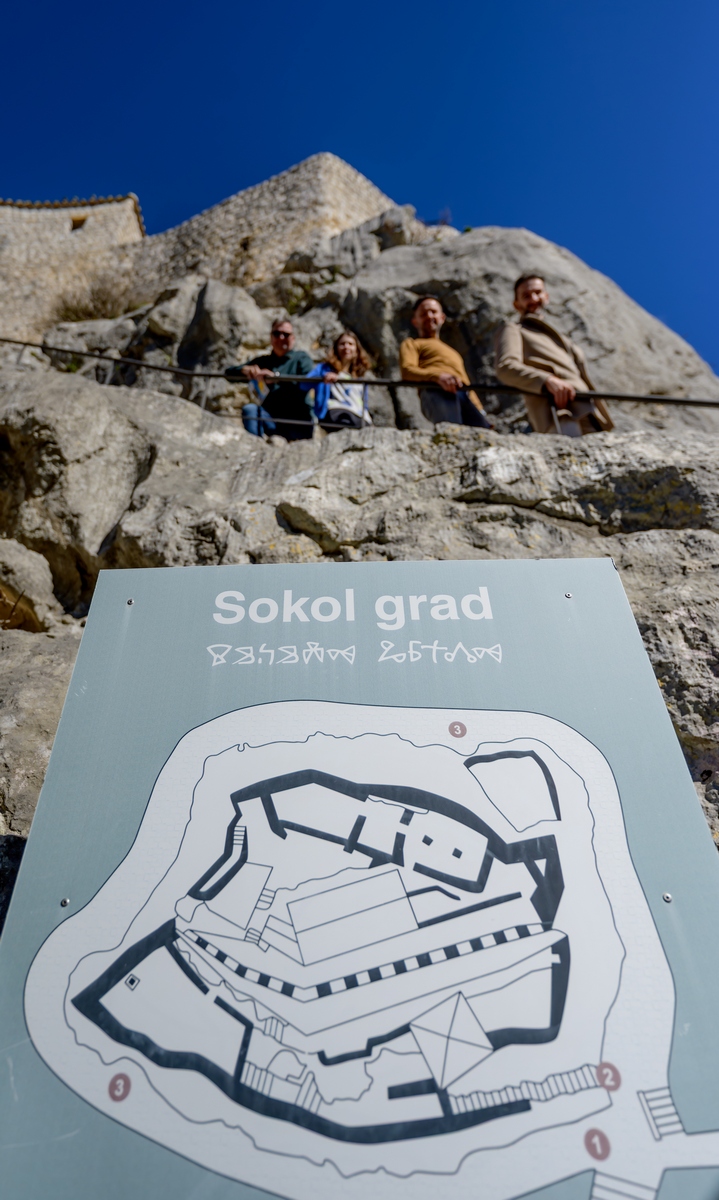 1000187862 1000187862