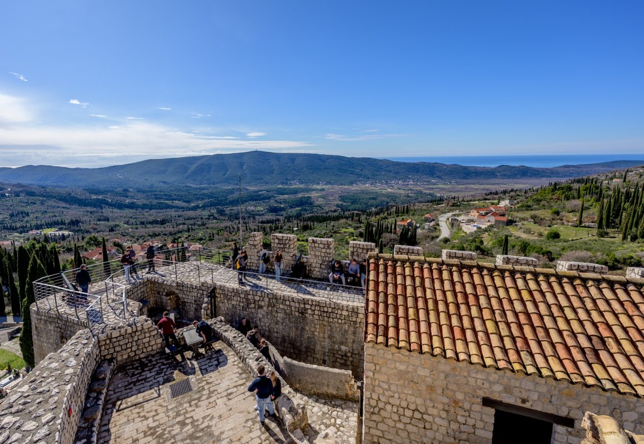 1000187866 1000187866