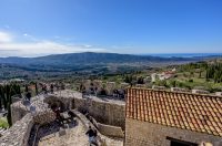 1000187866 1000187866