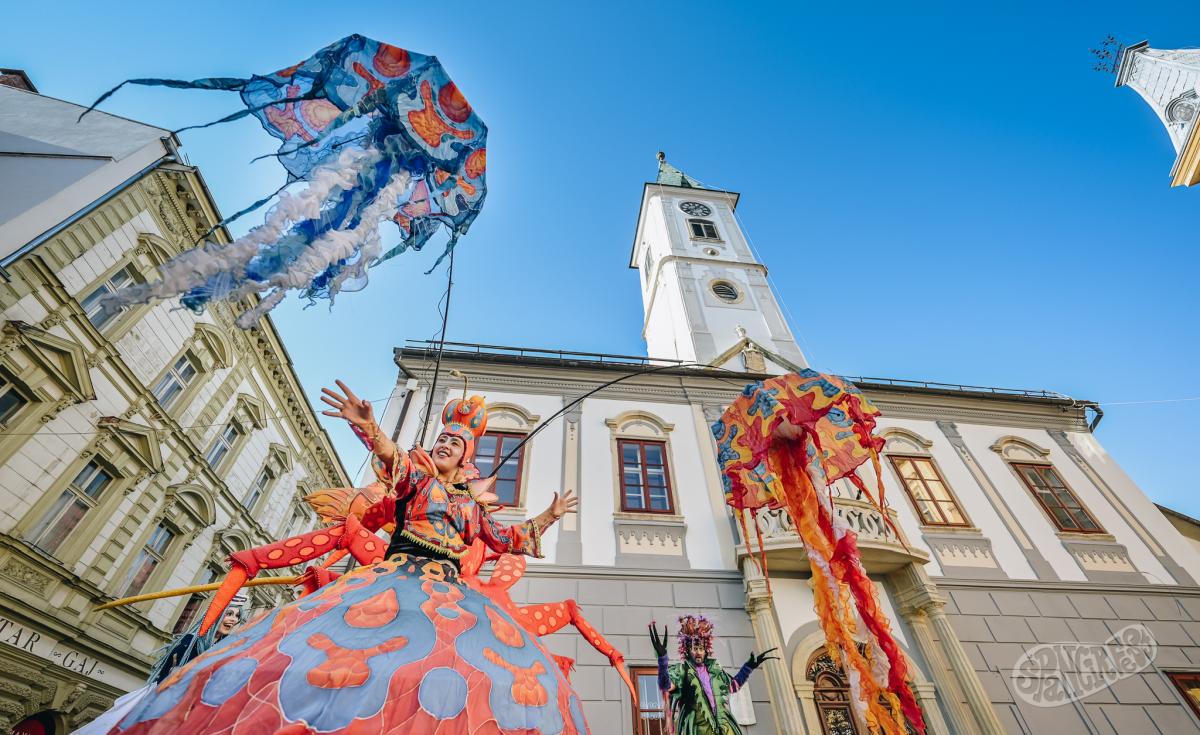 Image 5810983 (auto)