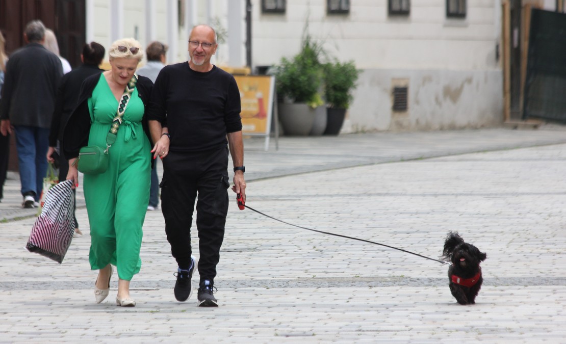 Image 5710433 (auto)