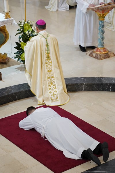 Image 4676542 (auto)