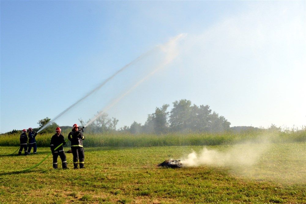 Image 3785831 (auto)