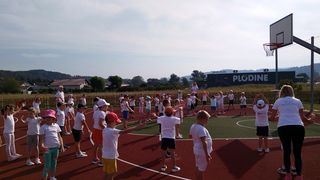 Image 5836309 (auto)