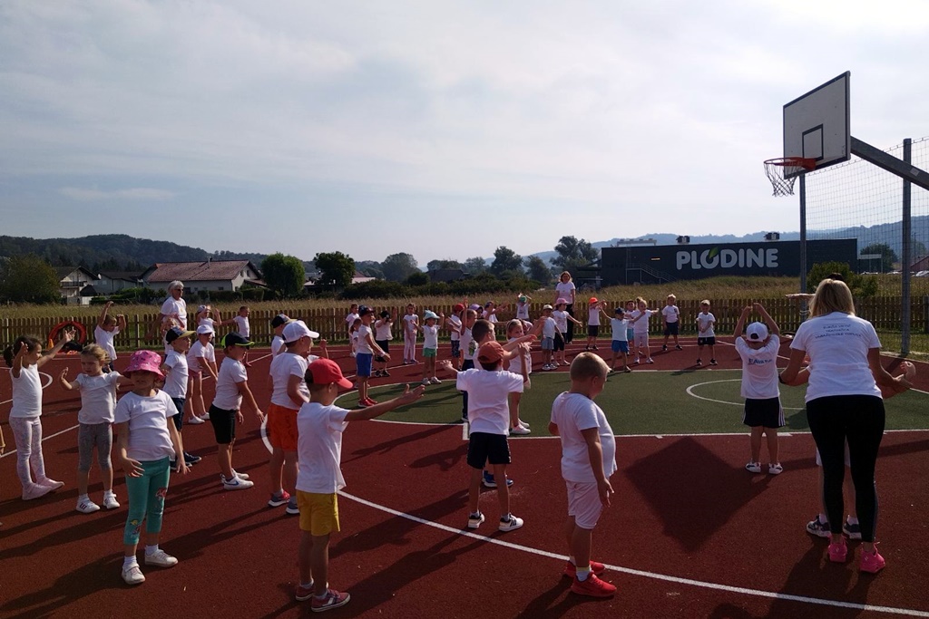 Image 5836309 (auto)