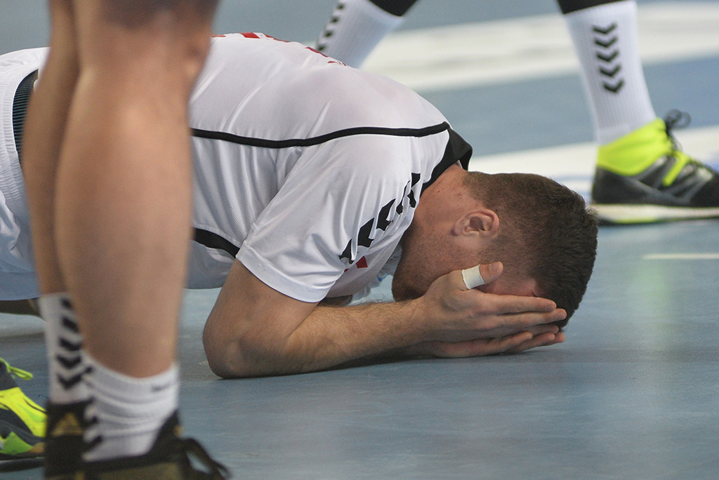 sehaligavardarzagreb9kopija4317