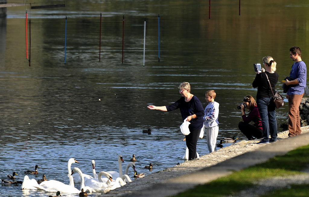Klikom po Dravi 13.10.2019.