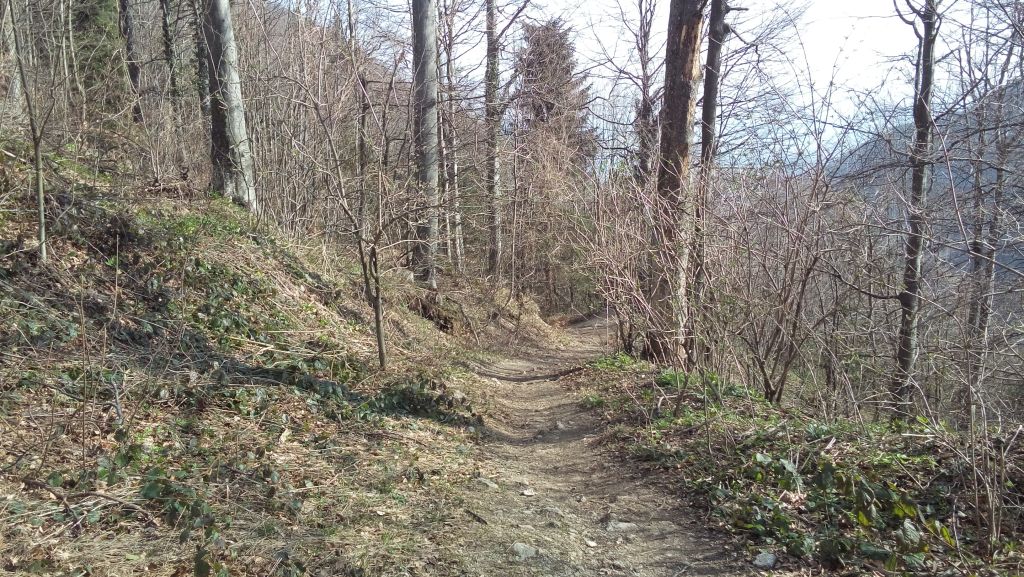 20150411091701231693