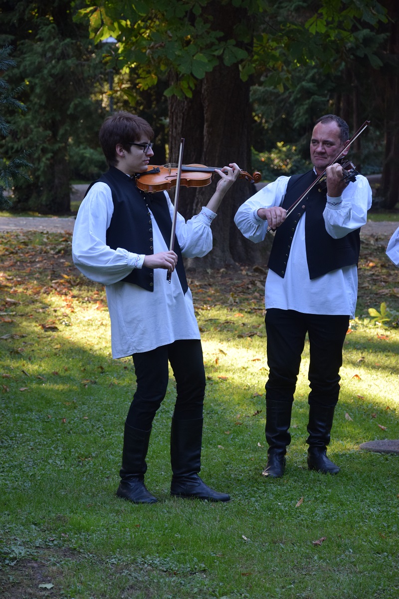 Image 4647884 (auto)