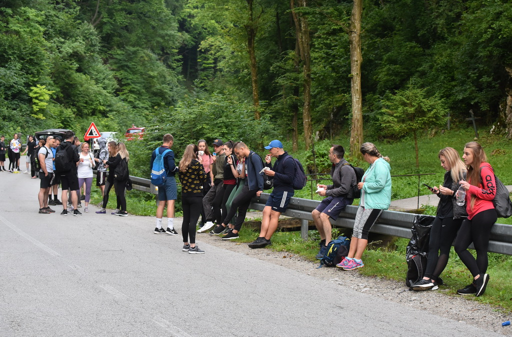 Image 4542322 (auto)