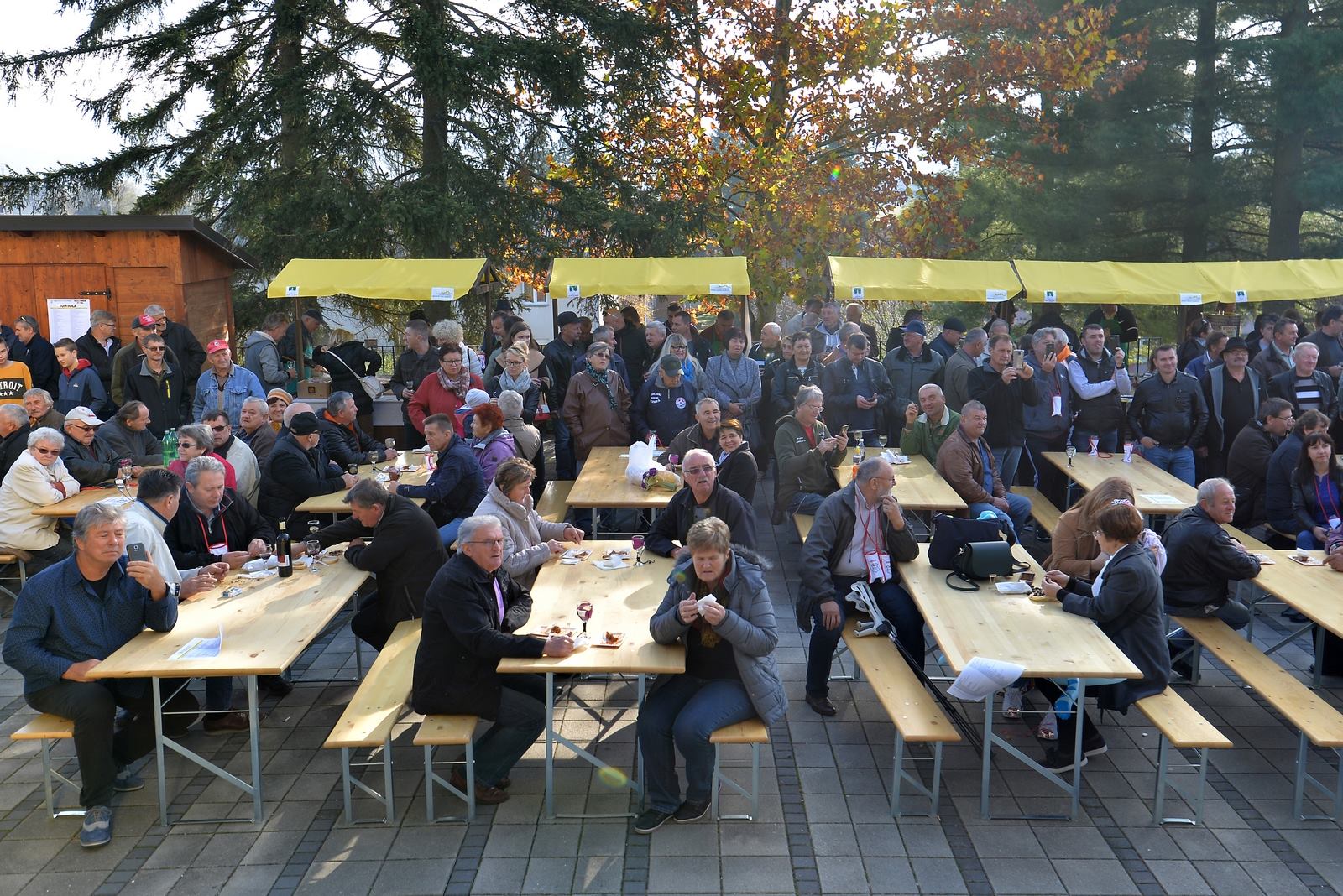 Martinje v Marofu Martinje v Marofu