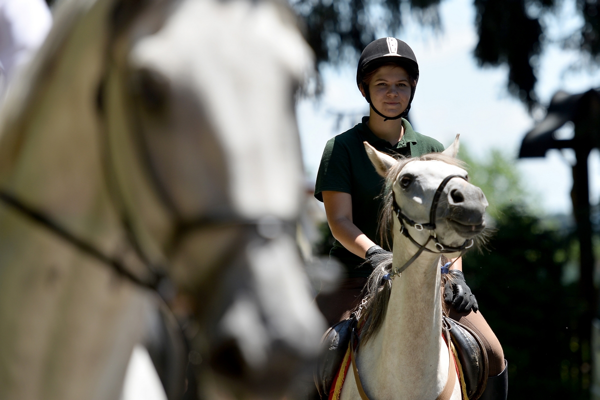 Konjičke igre u Zelendvoru