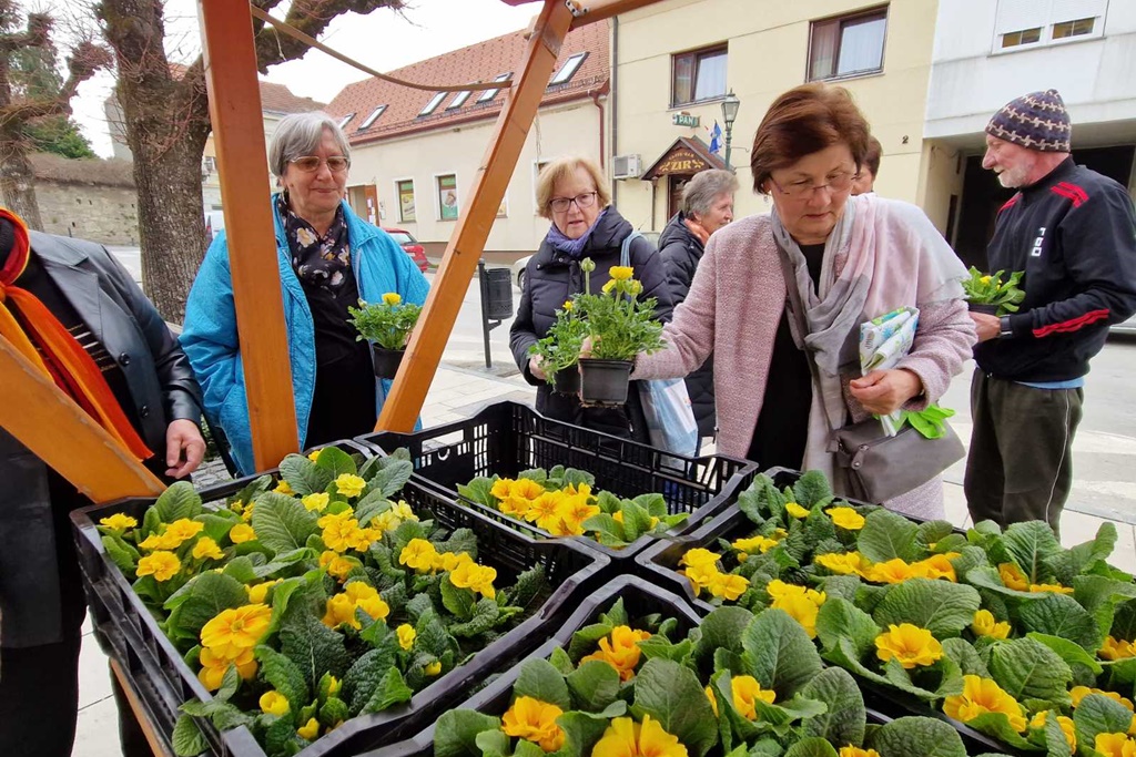 Image 5991037 (auto)