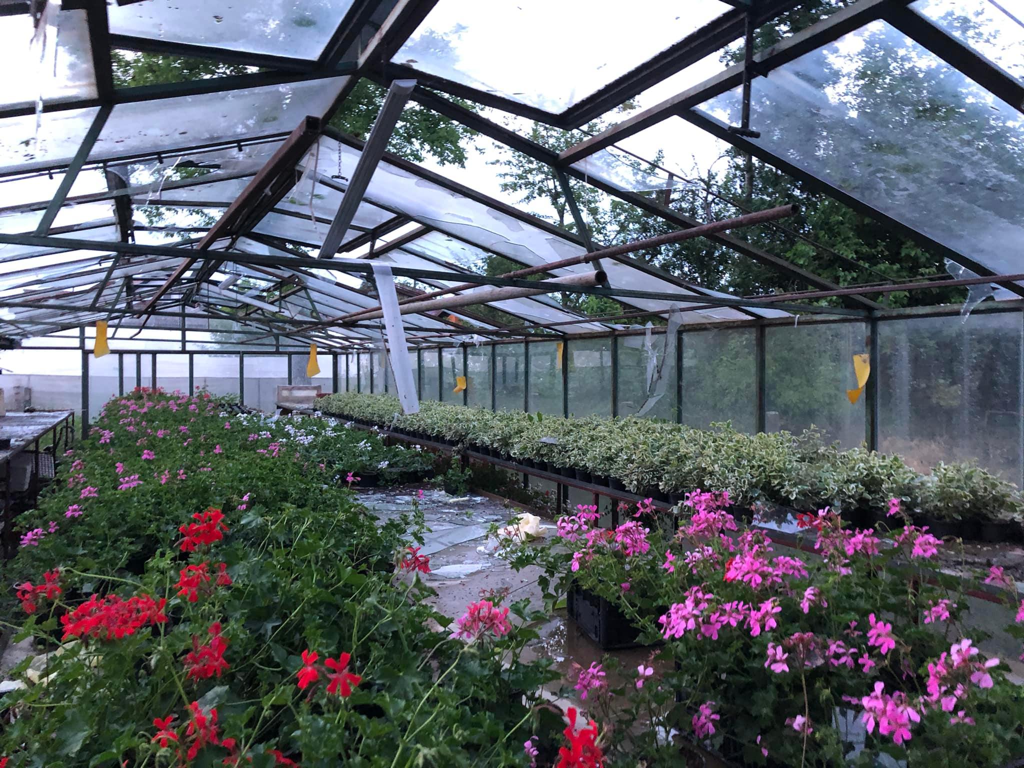 Tuča Veliki Bukovec