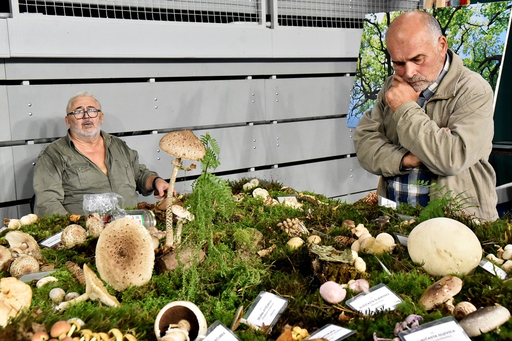 Sajam Lov ribolov priroda turizam