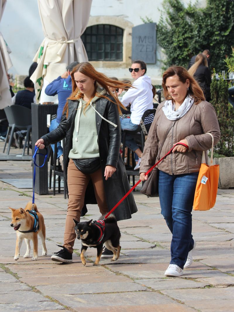 Klikom po Varaždinu 24.9.2022.