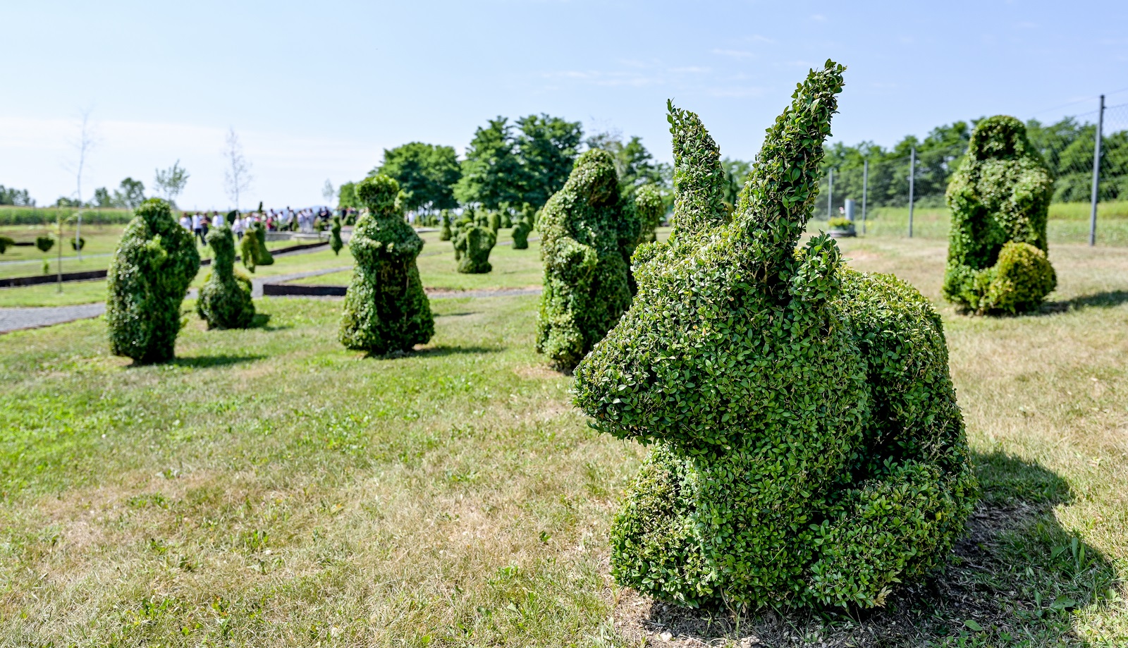 topiary