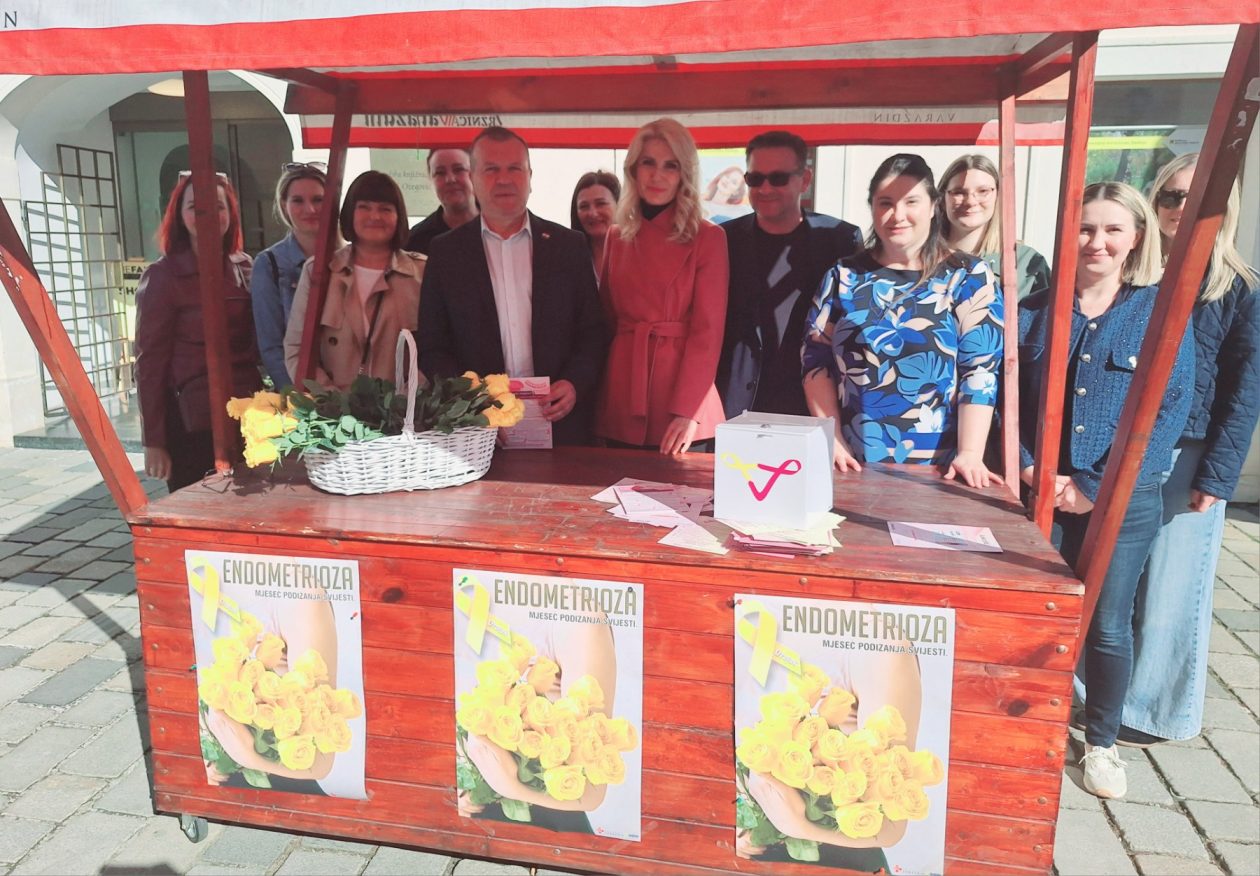 140326_endometrioza_2