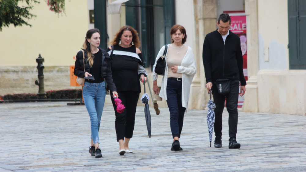 Image 5445816 (auto)