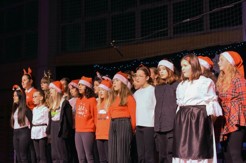 Image 5555777 (auto)