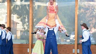 Image 5419010 (auto)