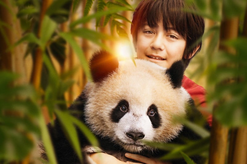 15130-moon-panda-800×533