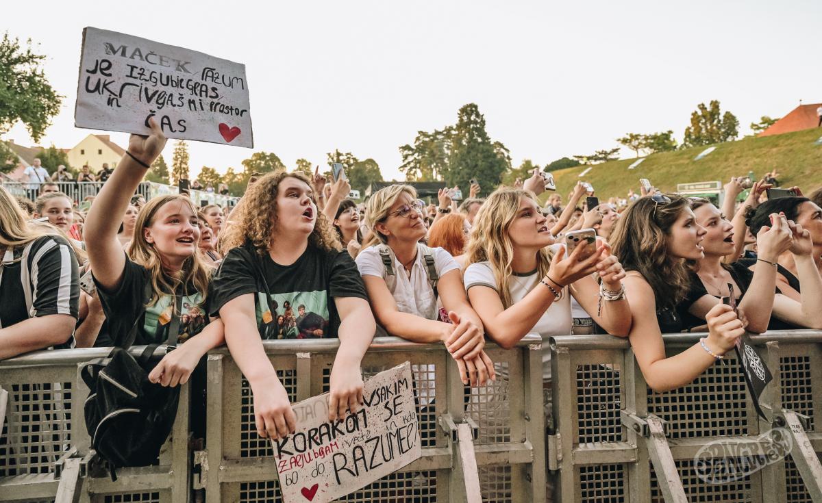 Image 5810995 (auto)