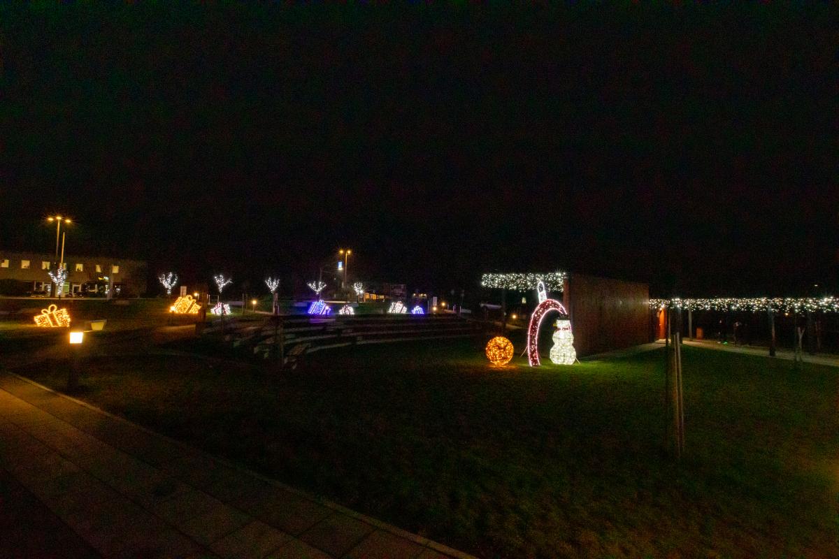 Image 5535264 (auto)