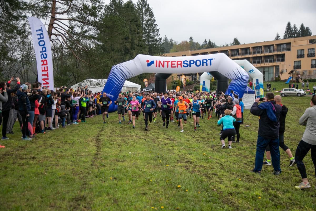 Image 5331052 (auto)