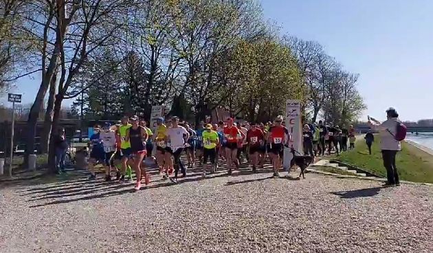 Image 4874732 (auto) Image 4874732 (auto)