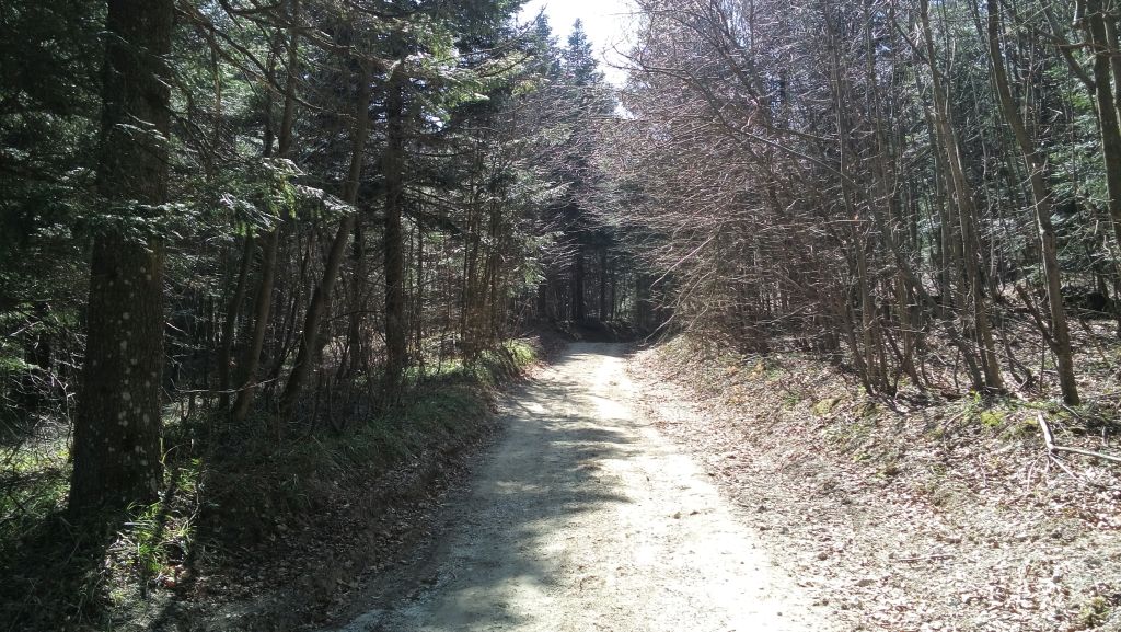 20150411112425965842