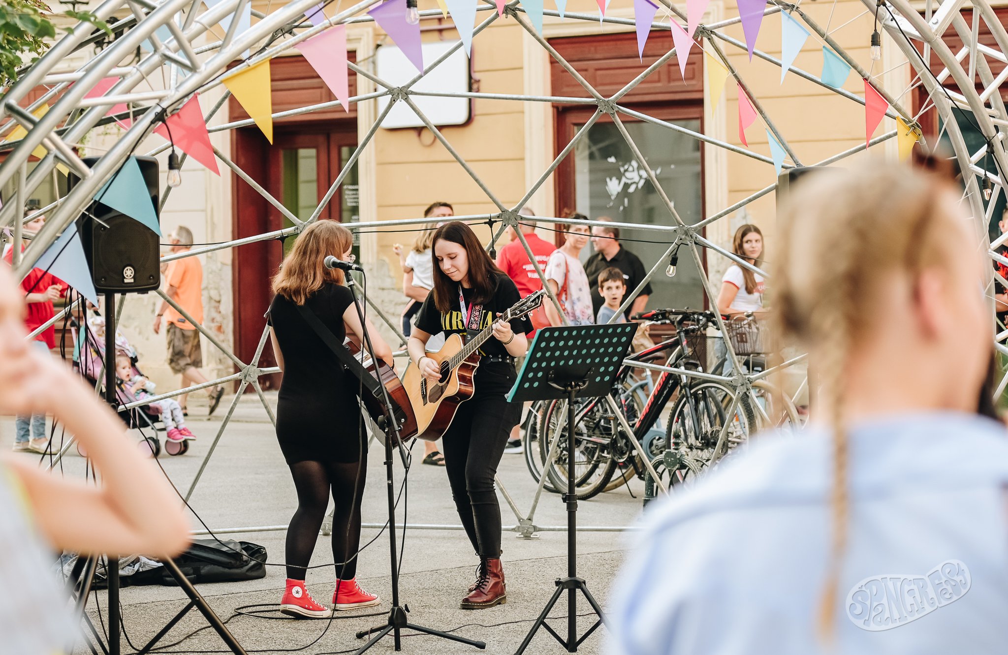 Image 5455186 (auto)