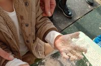 1760612132678 1760612132678