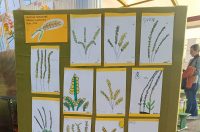 1760612132692 1760612132692