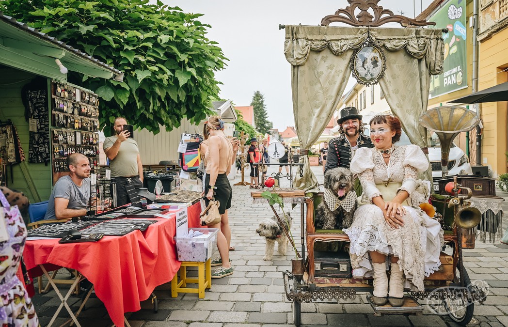 Image 5811857 (auto)