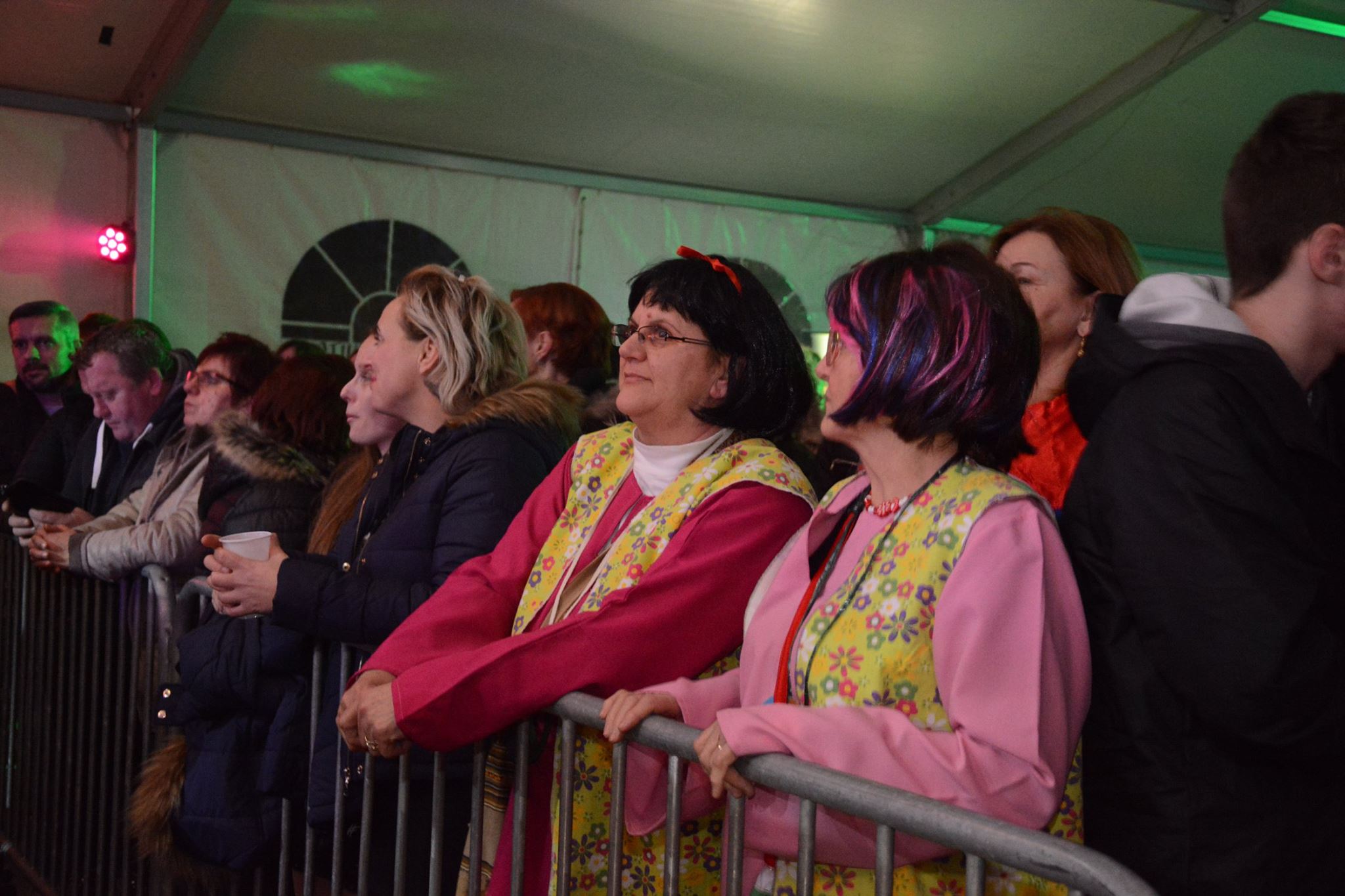 Neda Ukraden u Sračincu