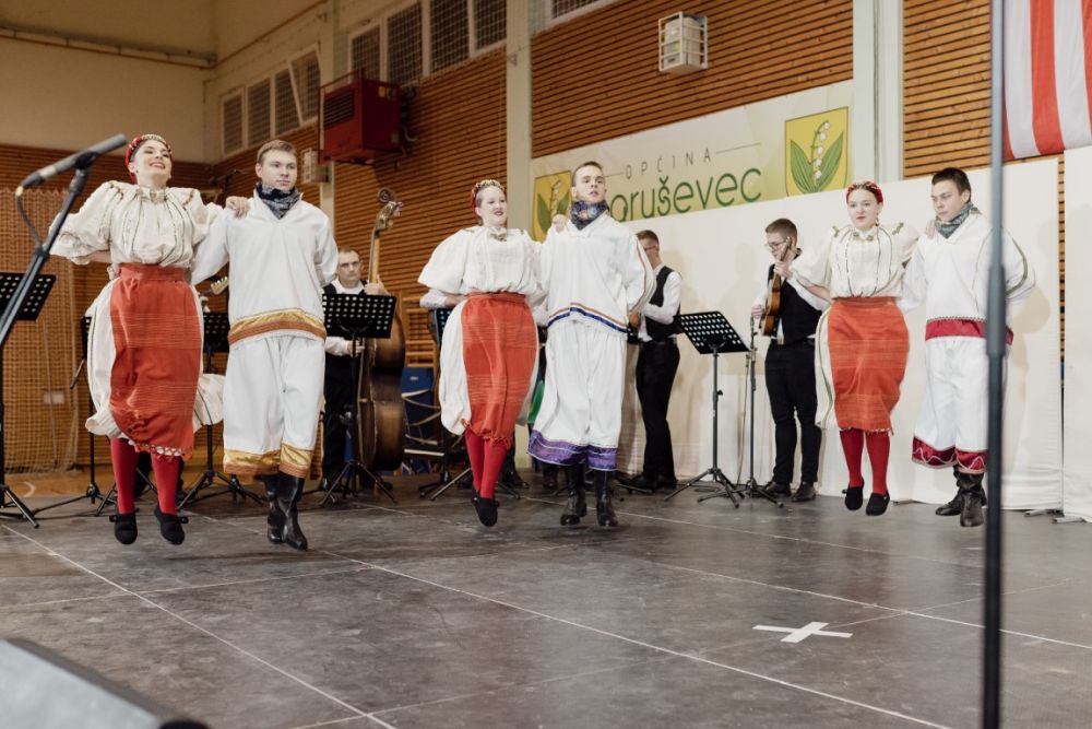 Image 5911839 (auto)