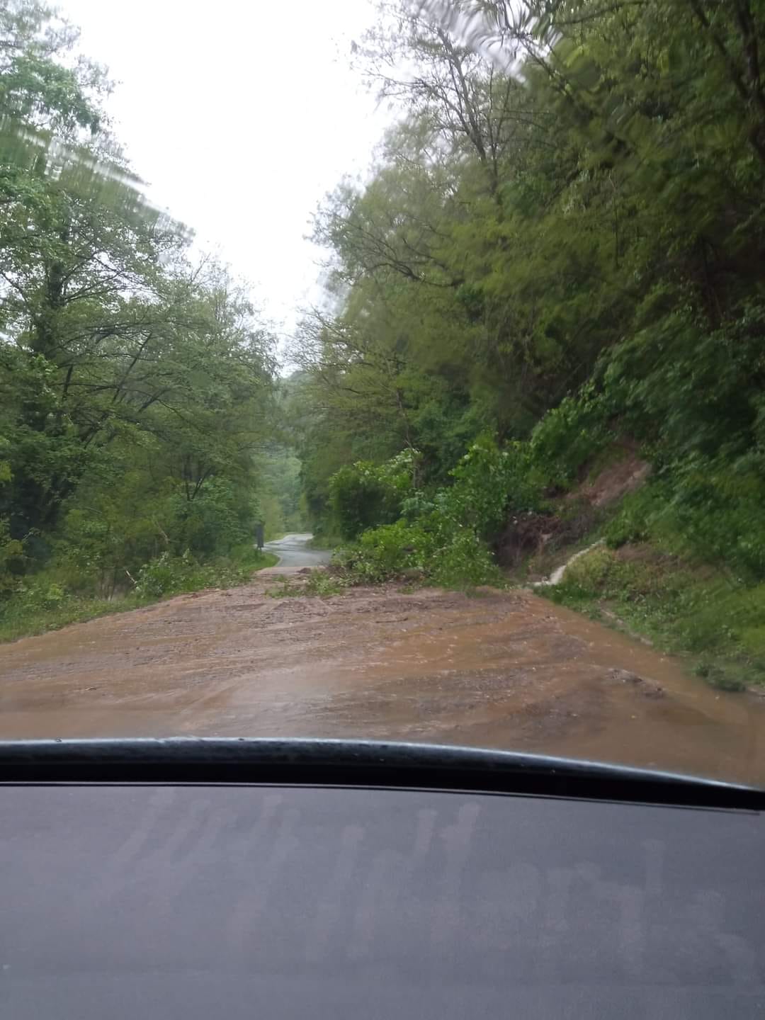 Image 5696751 (auto)