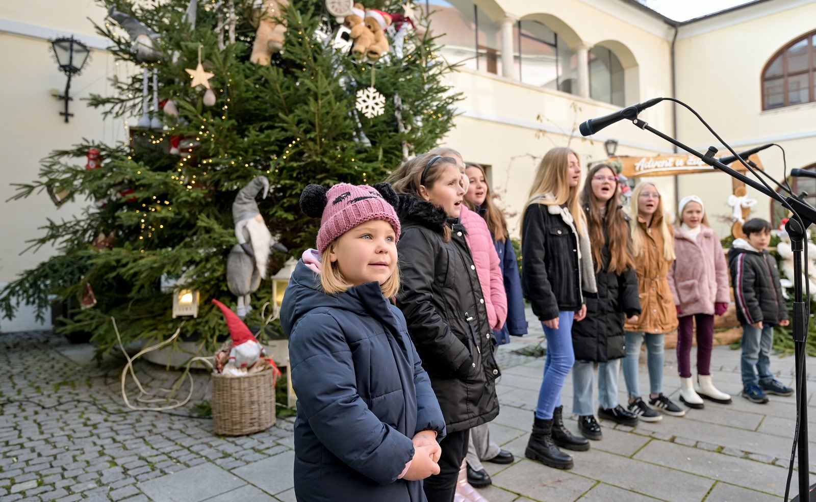 Image 5532592 (auto)