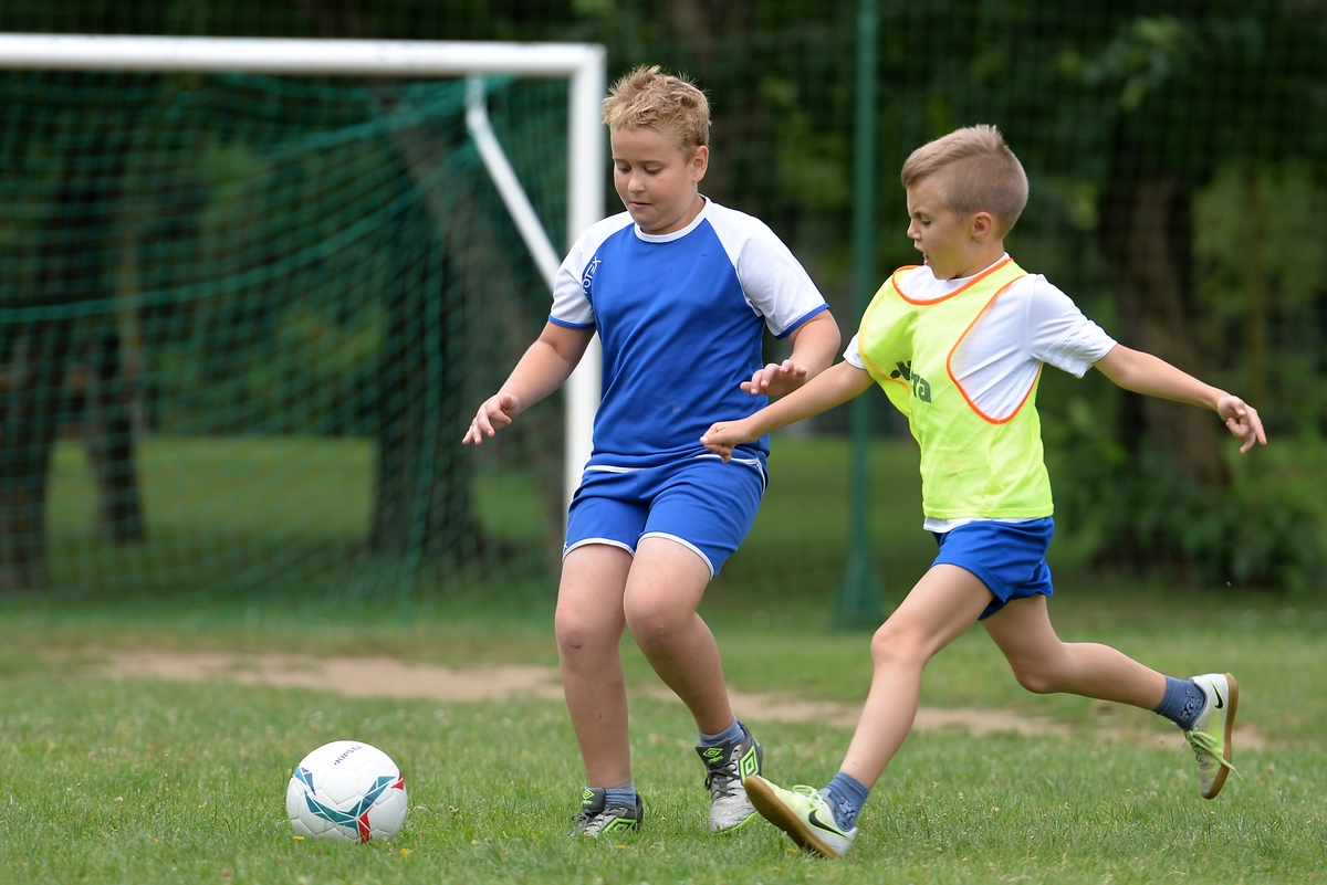 Ljetni sportski višeboj