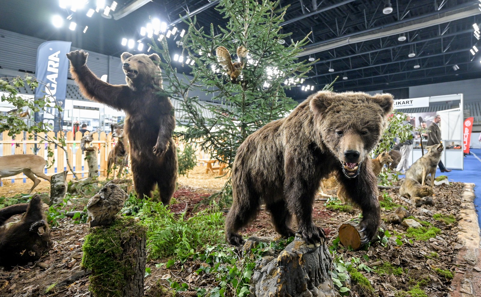 Image 5861191 (auto)