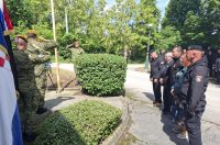 1_Tigrovi (23)