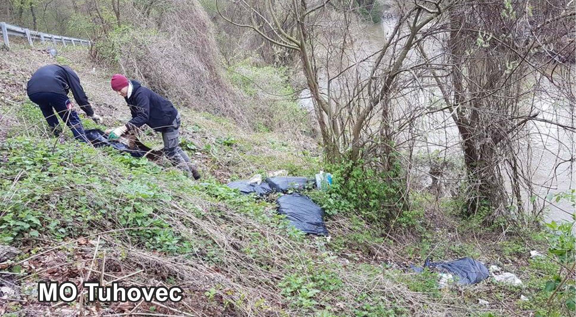 Image 3553249 (auto)