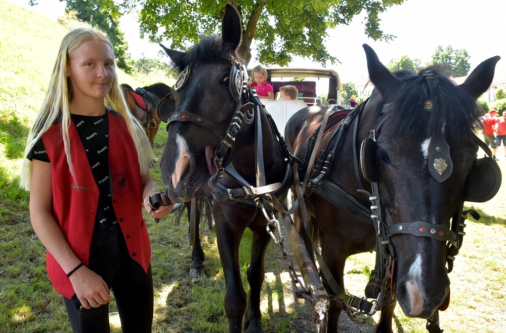 Image 5377164 (auto)