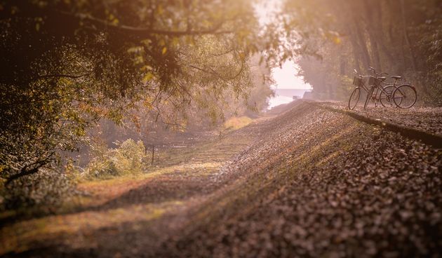 Dravska šuma predala se jeseni, rezultat ostavlja bez daha