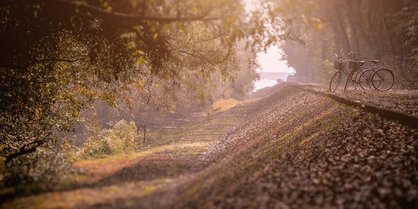 Dravska šuma predala se jeseni, rezultat ostavlja bez daha