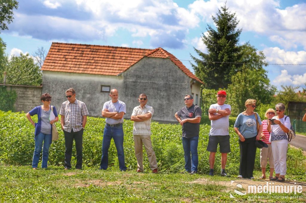 1965049410212312050773362762819