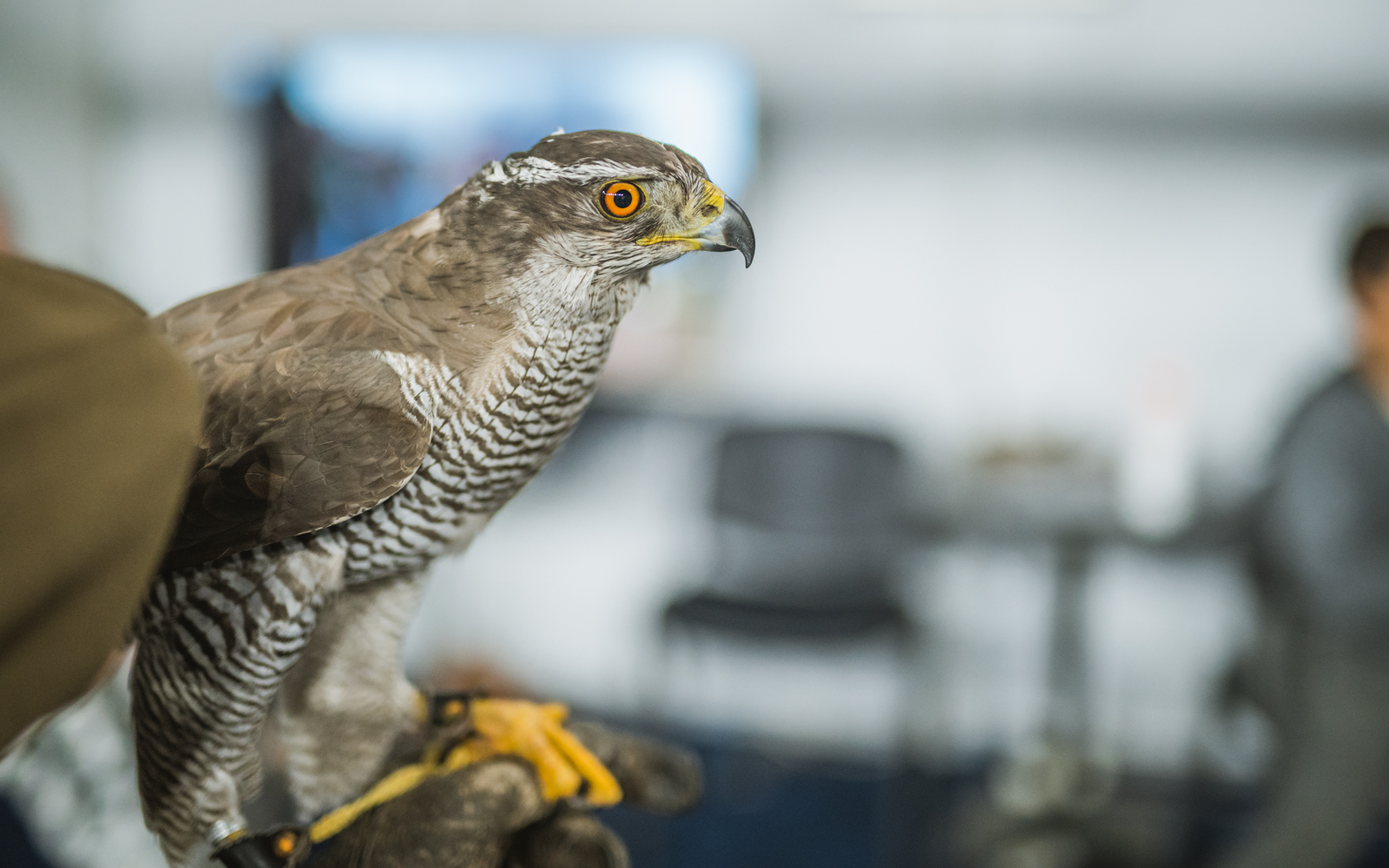 Međunarodni sajam ‘Priroda, lov, ribolov, turizam’ 2019., Arena Varaždin