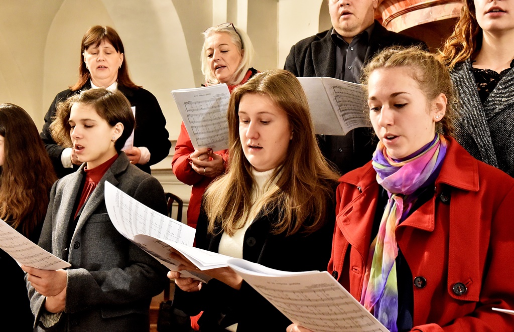 Image 5568813 (auto)