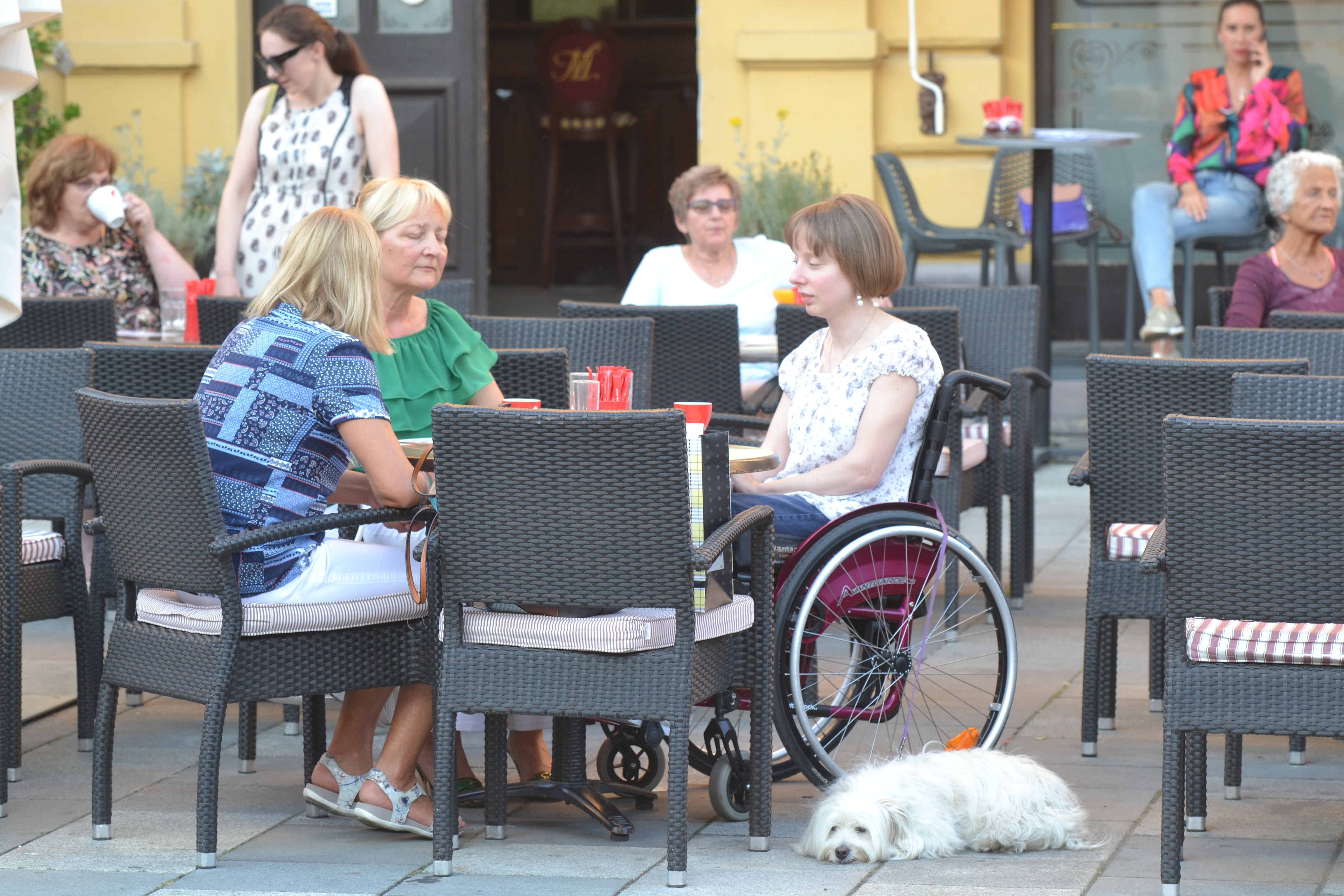 Koncert Marka Kenjija na Korzu Koncert Marka Kenjija na Korzu